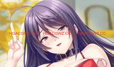 【ADV/AI汉化/MTool】巨乳剑圣被当成自慰器搞大肚子～冷艳巨乳剑士屈服于巨根！变成绝对忠诚的谄媚母狗穴！【PC/815M】